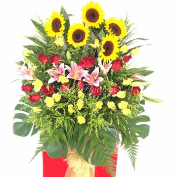 CS29 - Blooms of Wealth
