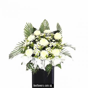 CW15 - Gracious Memorial