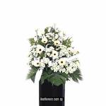 Condolence Wreath