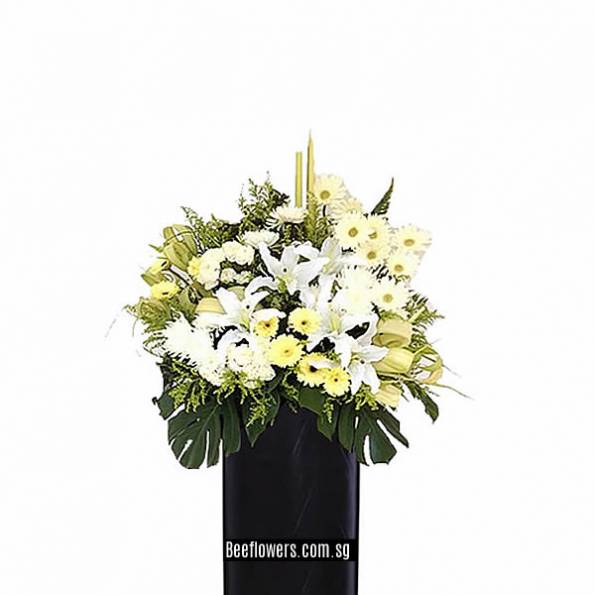 CONDOLENCE