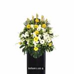 CONDOLENCE