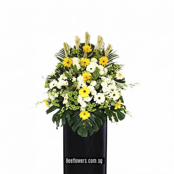 CONDOLENCE