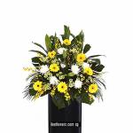 CONDOLENCE