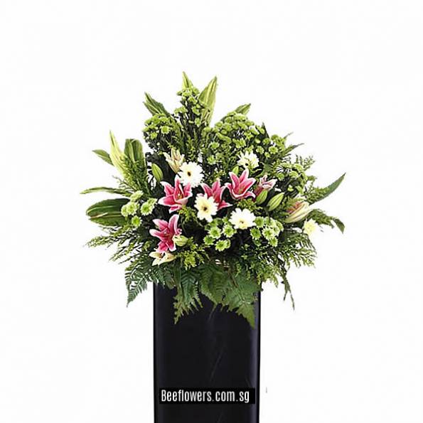 CONDOLENCE