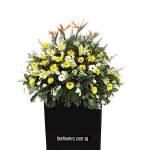 CONDOLENCE