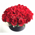 All